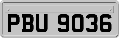 PBU9036