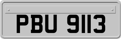 PBU9113