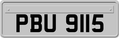 PBU9115