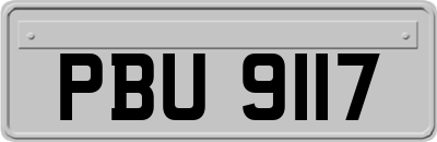 PBU9117