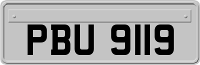 PBU9119