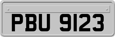 PBU9123