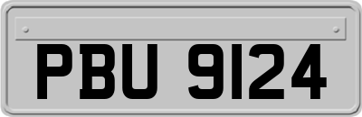 PBU9124