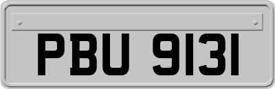 PBU9131