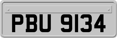 PBU9134