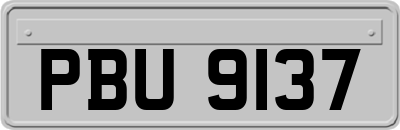 PBU9137