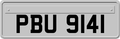 PBU9141