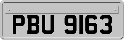 PBU9163