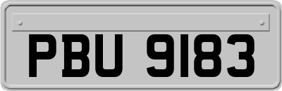 PBU9183