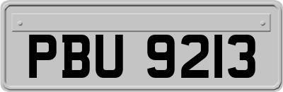 PBU9213