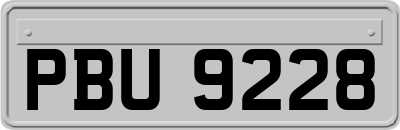 PBU9228