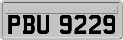 PBU9229