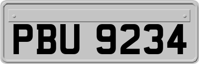 PBU9234