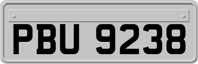 PBU9238