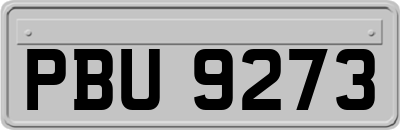 PBU9273