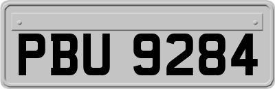 PBU9284