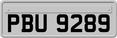 PBU9289