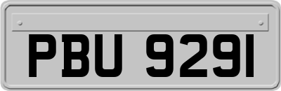 PBU9291