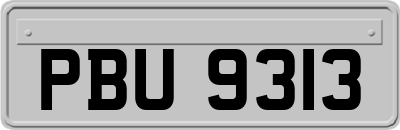 PBU9313