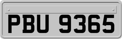 PBU9365