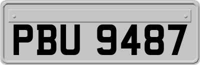 PBU9487