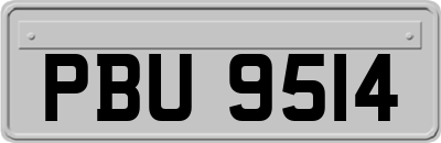 PBU9514