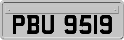 PBU9519