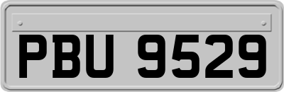 PBU9529