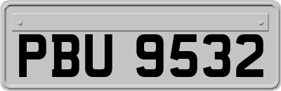 PBU9532