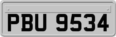 PBU9534