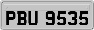 PBU9535