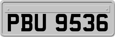 PBU9536