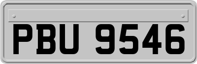 PBU9546