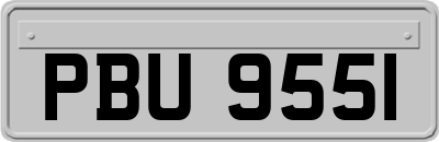 PBU9551