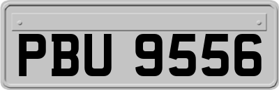 PBU9556