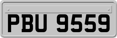 PBU9559