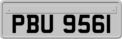 PBU9561