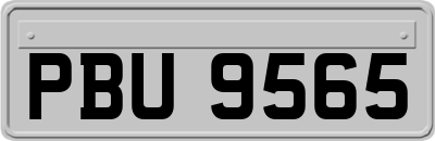 PBU9565