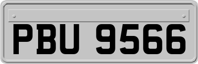 PBU9566