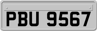 PBU9567