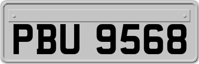 PBU9568