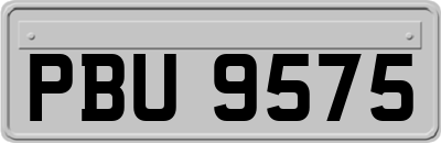 PBU9575