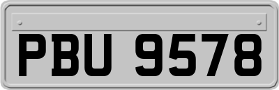 PBU9578