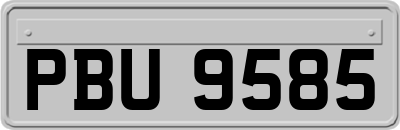 PBU9585