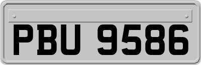 PBU9586