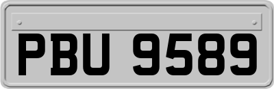 PBU9589