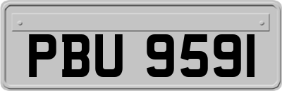 PBU9591