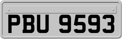 PBU9593