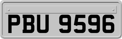 PBU9596