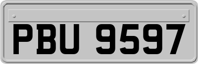 PBU9597